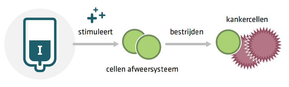 illustratie-immuuntherapie