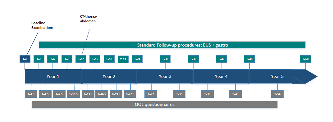 Schema onderzoekshandelingen PREFER studie